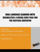 Dual Language Learners with Disabilities: A Visual Data Tool for the Critical Educator
