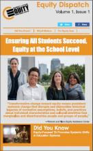 Ensuring All Students Succeed, Equity at the School Level