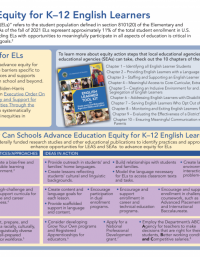 Infographic on educational equity principles and strategies.