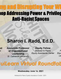 Identifying and Disrupting Your Whiteness: A Workshop Addressing Power & Privilege toward Anti-Racist Spaces