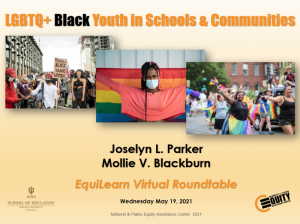LGBTQ+ Black Youth in Schools and Communities