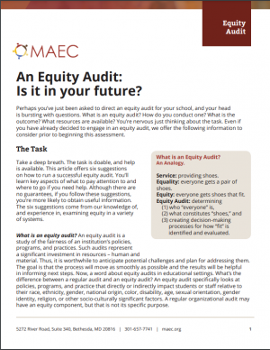 Front Page of An Equity Audit: Is it in your future?