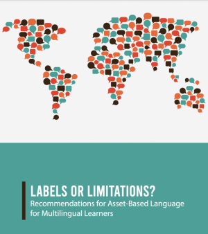 Image showcasing recommendations for multilingual learners.